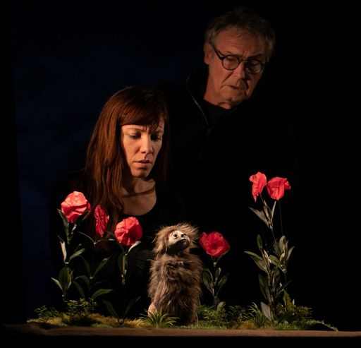 sur_les_pas_dodaaq.png Thumbnail