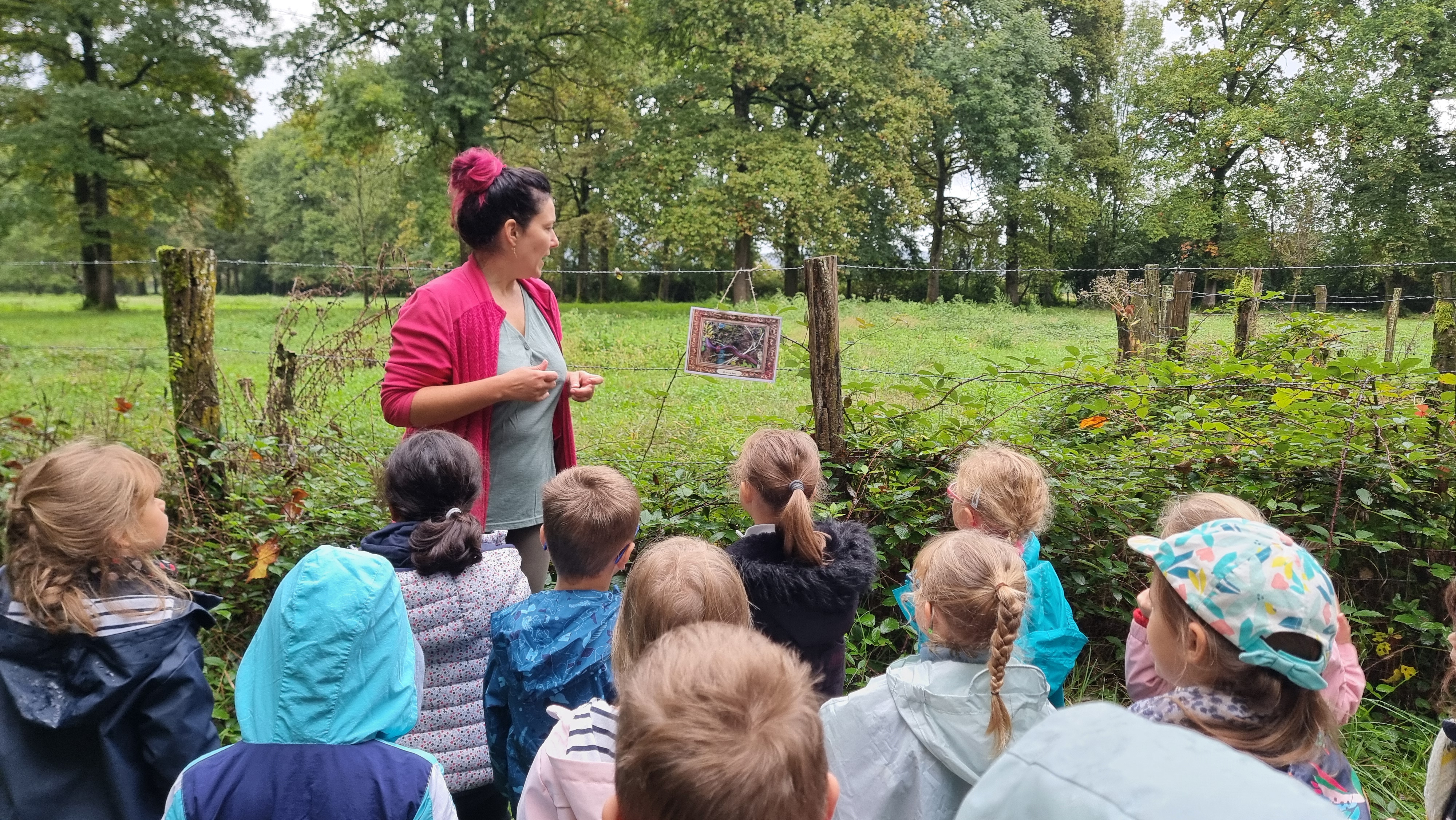 20240927_095032.jpg Thumbnail