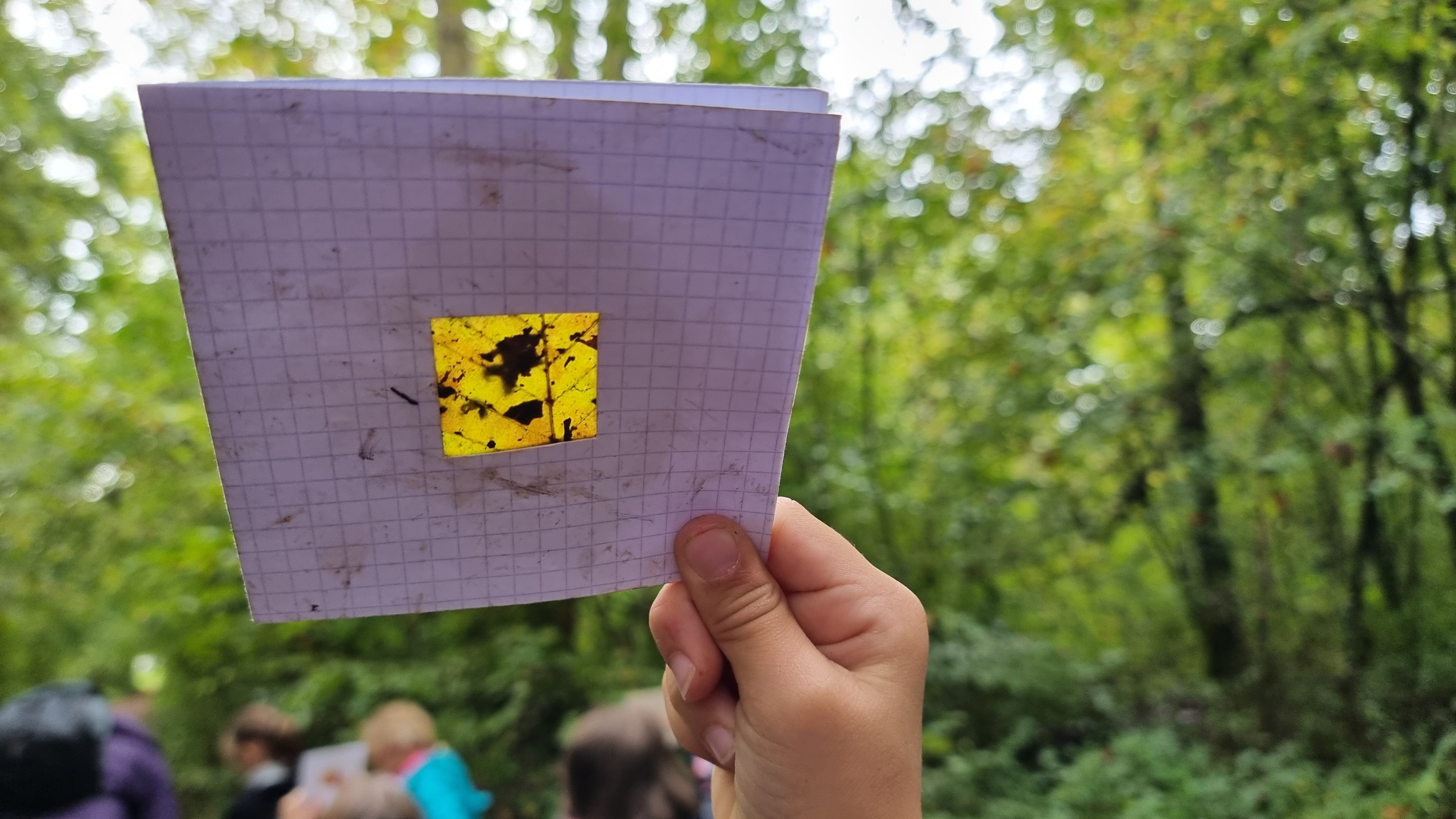 20240927_104545.jpg Thumbnail