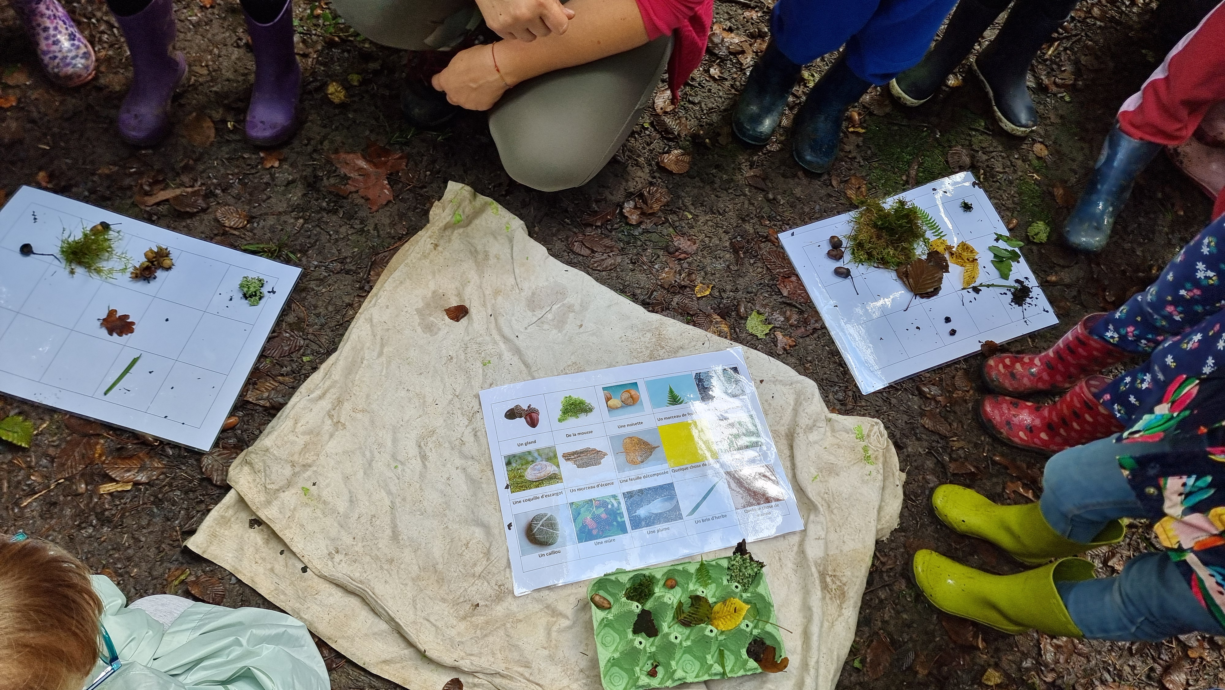 20240927_114822.jpg Thumbnail