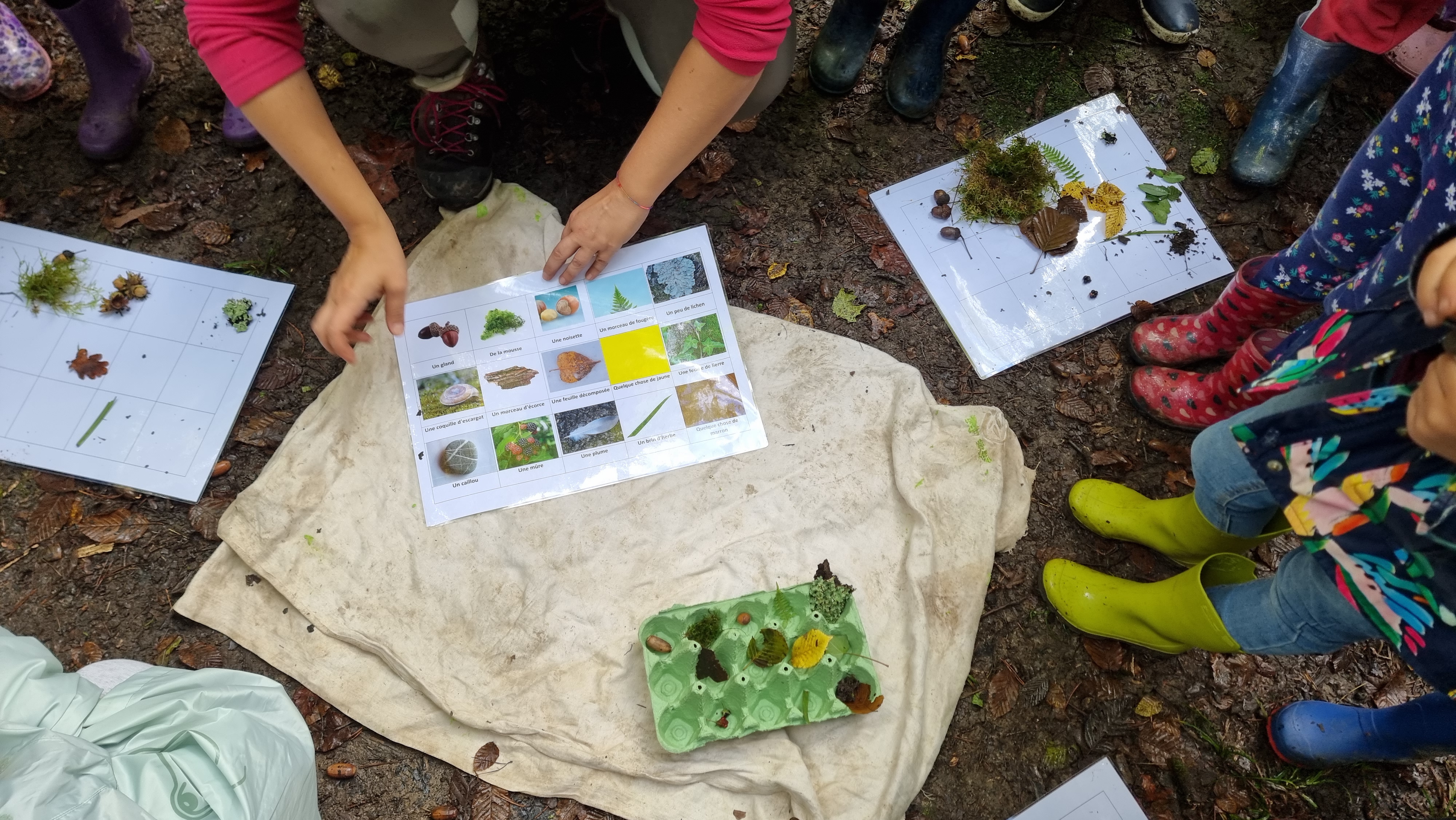 20240927_114824.jpg Thumbnail