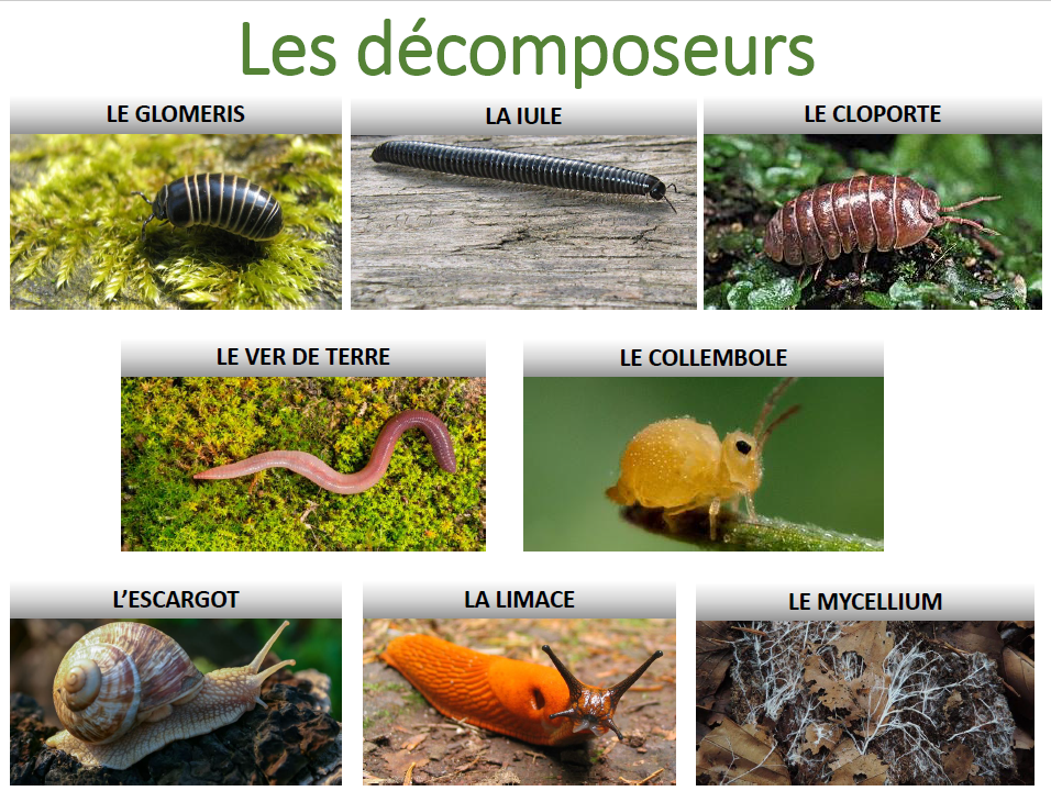 capture_decran_2024-10-13_141806.png Thumbnail