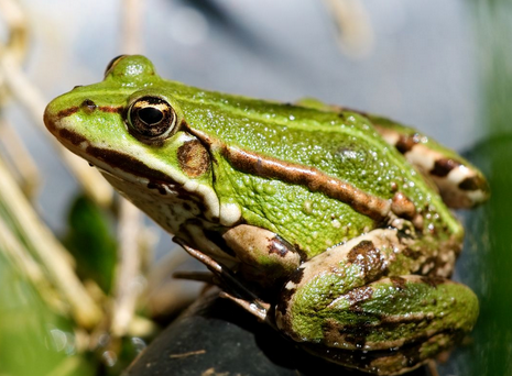 capture_decran_2024-10-13_183823.png Thumbnail