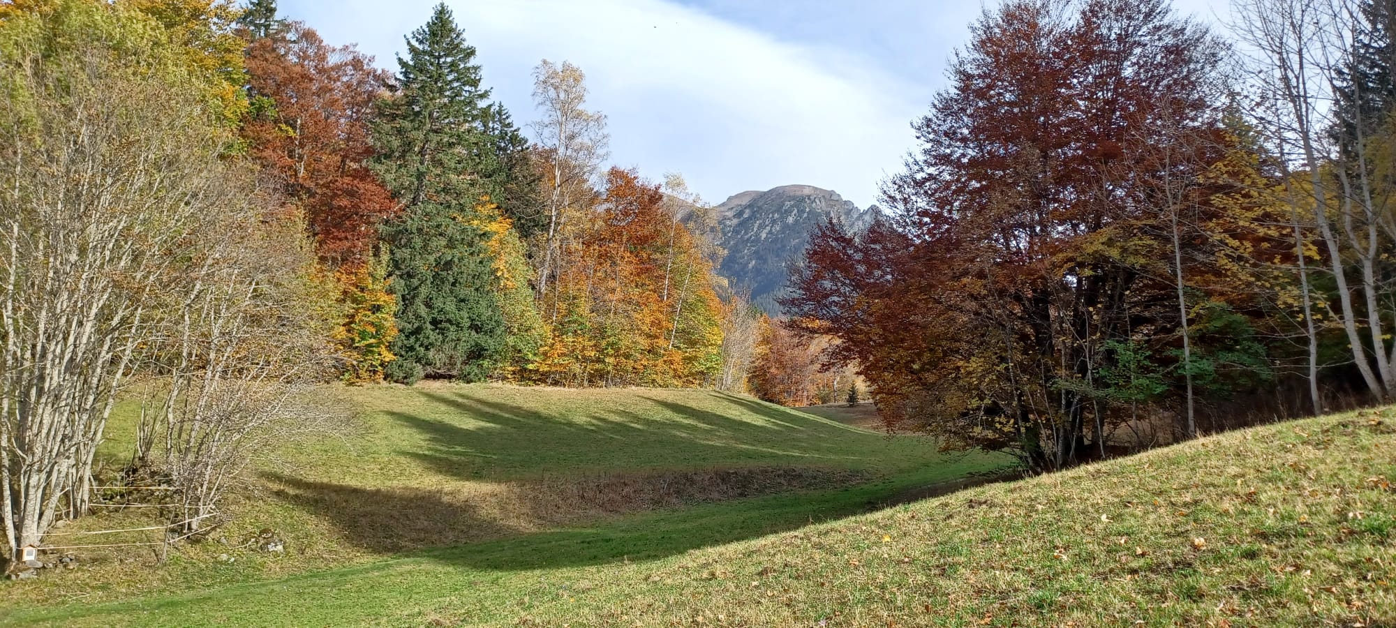 classe_v.jpg Thumbnail