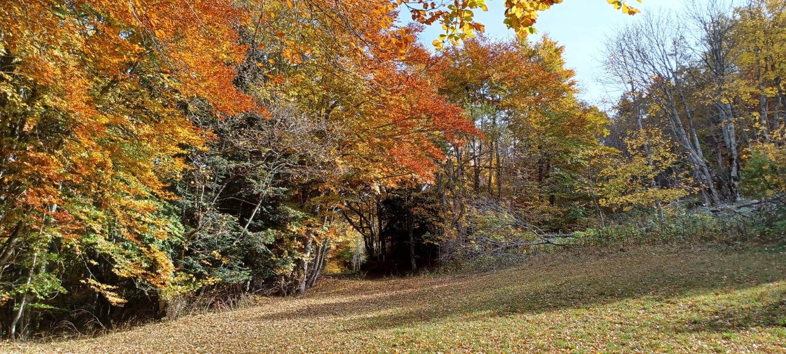 classe_v2.jpg Thumbnail