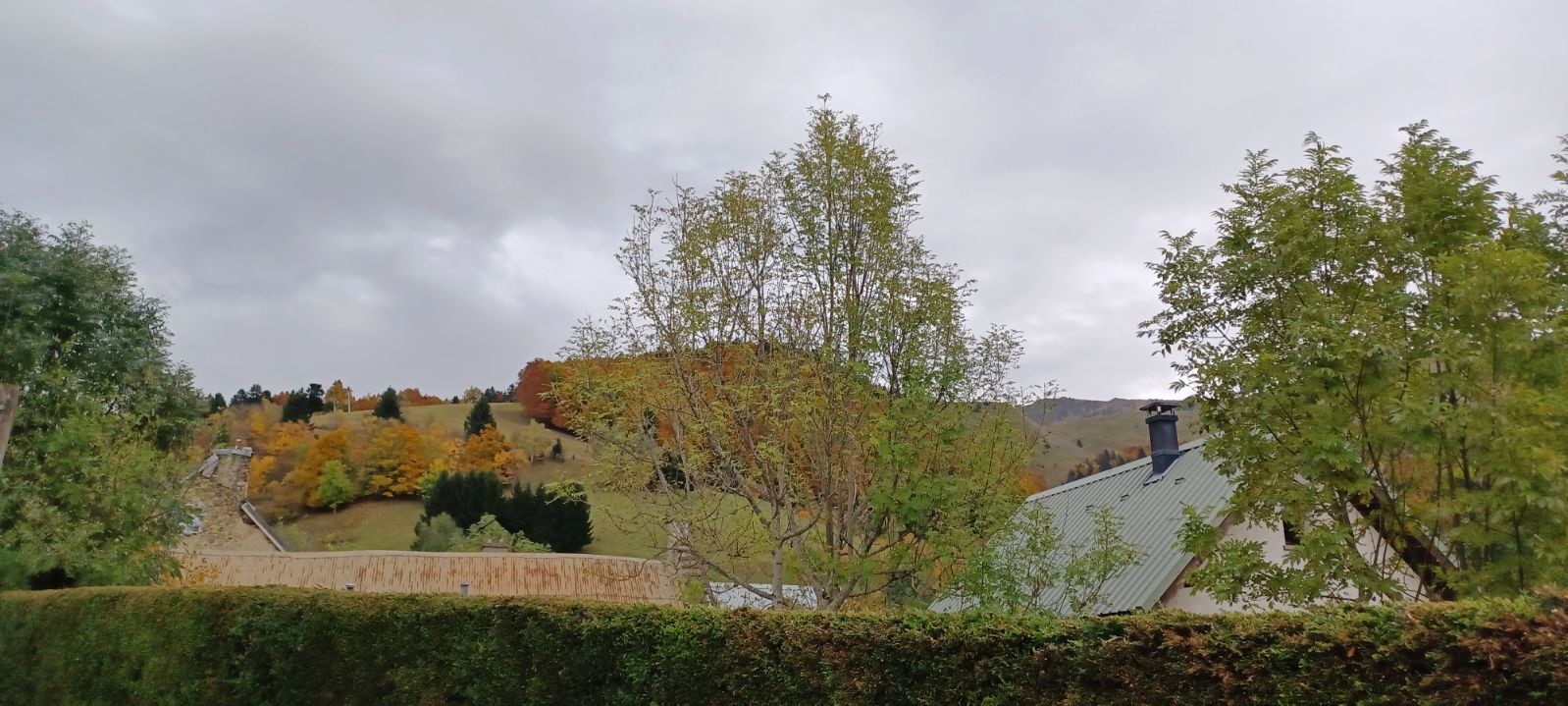 image0000001.jpg Thumbnail