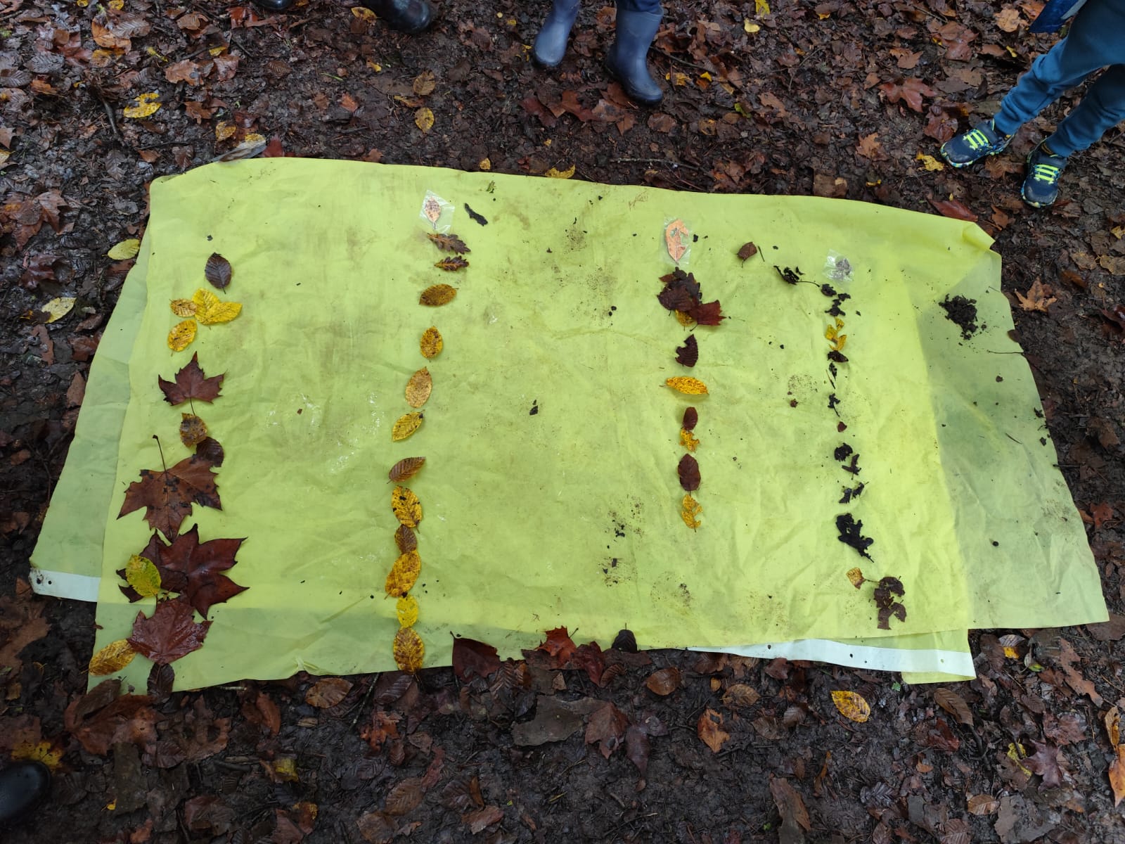 img-20240927-wa0009.jpg Thumbnail