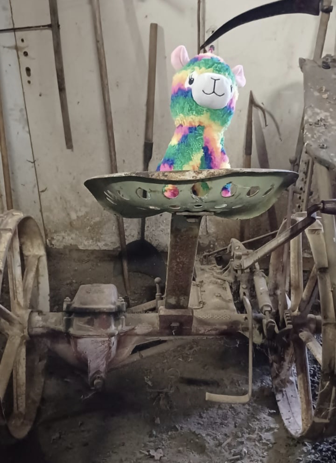 screenshot_20241017_201544_gallery.jpg Thumbnail