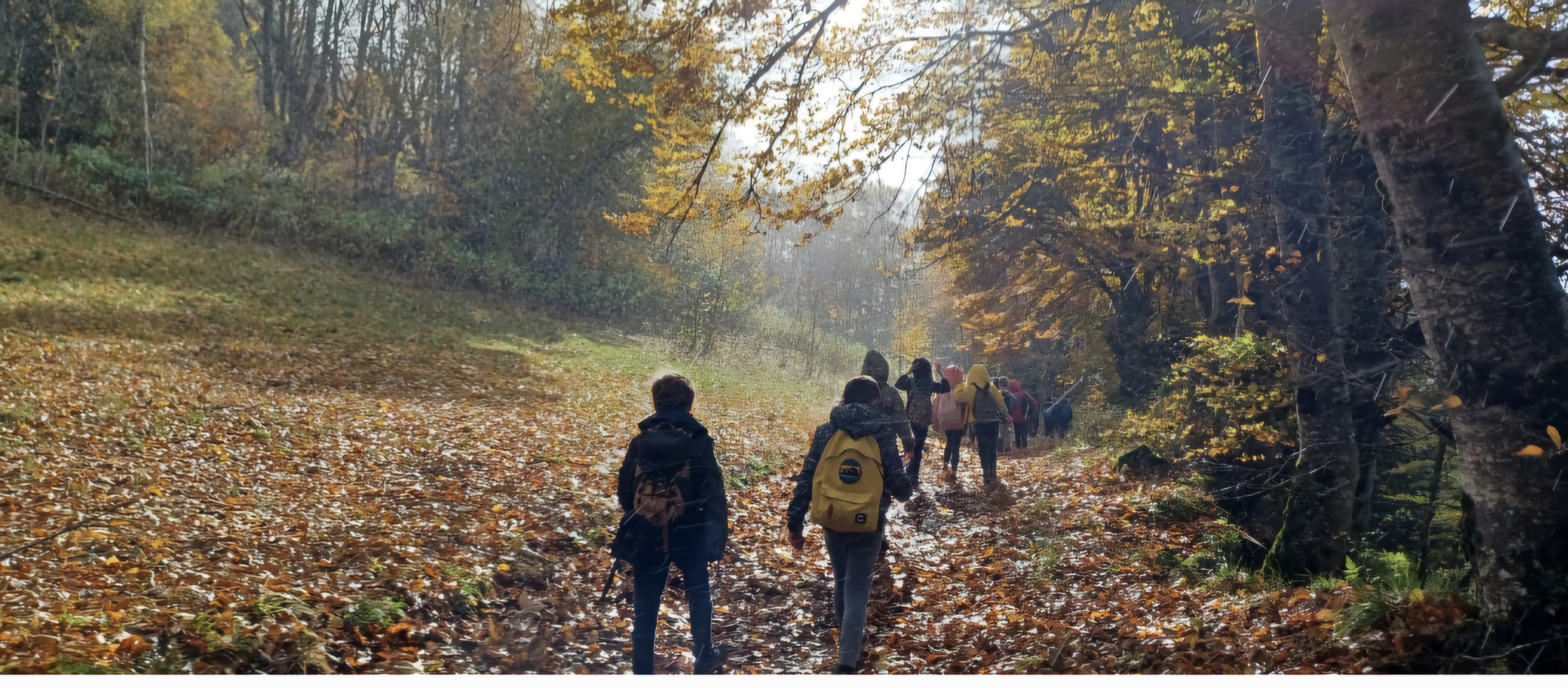 screenshot_20241017_201642_gallery.jpg Thumbnail